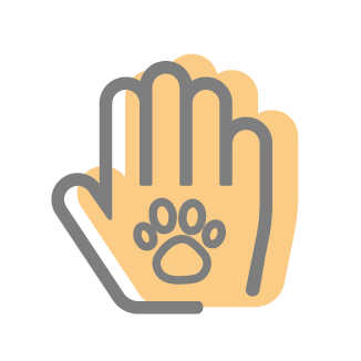 Illustration d'une main et d'une patte de chien pour le service d'ostéopathie à la Clinique Vétérinaire du Stade