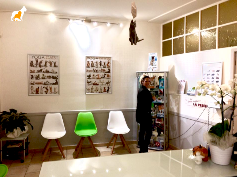 Accueil comptoir lien