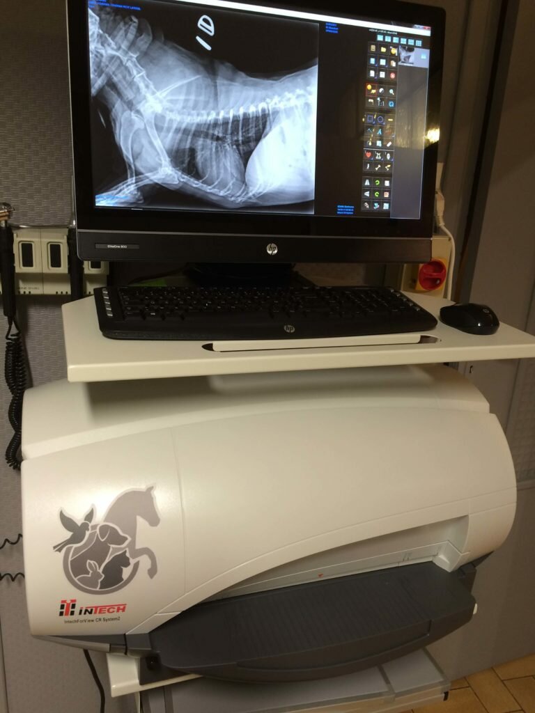 Matérielle de radiologie présent la clinique vétérinaire du Stade de bethine